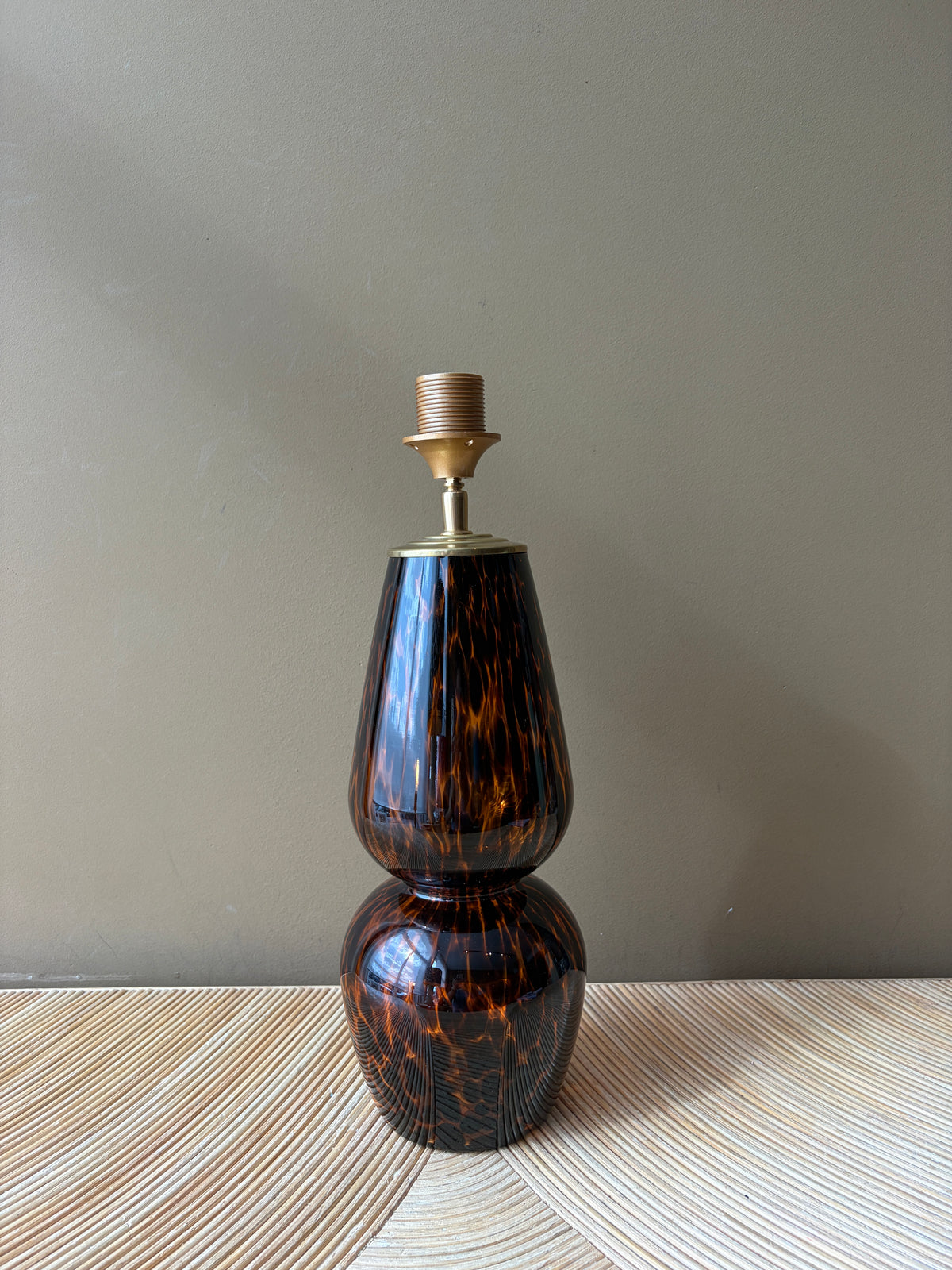 Tortoise Hips M