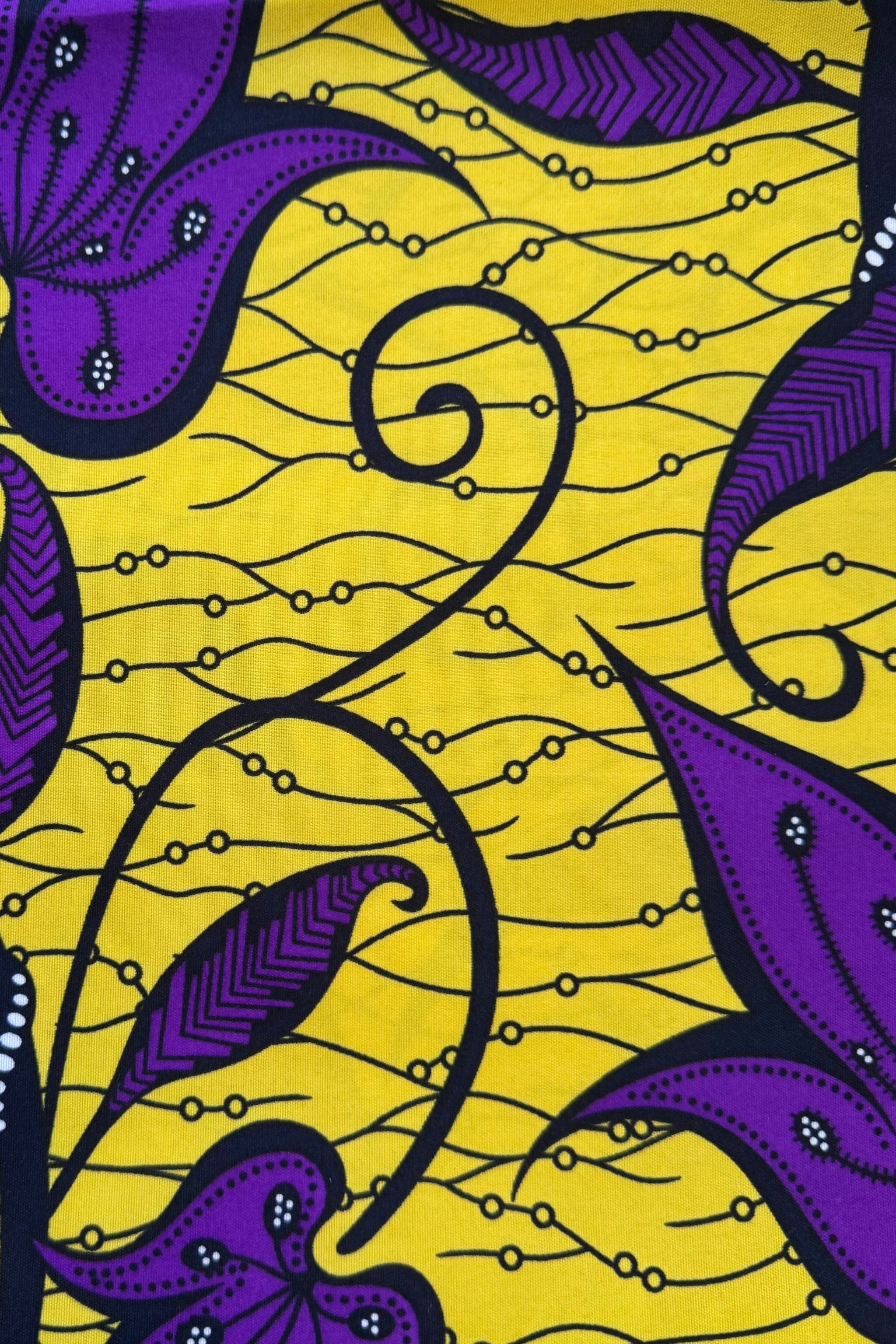 African Wax Purple Leaves on Yellow