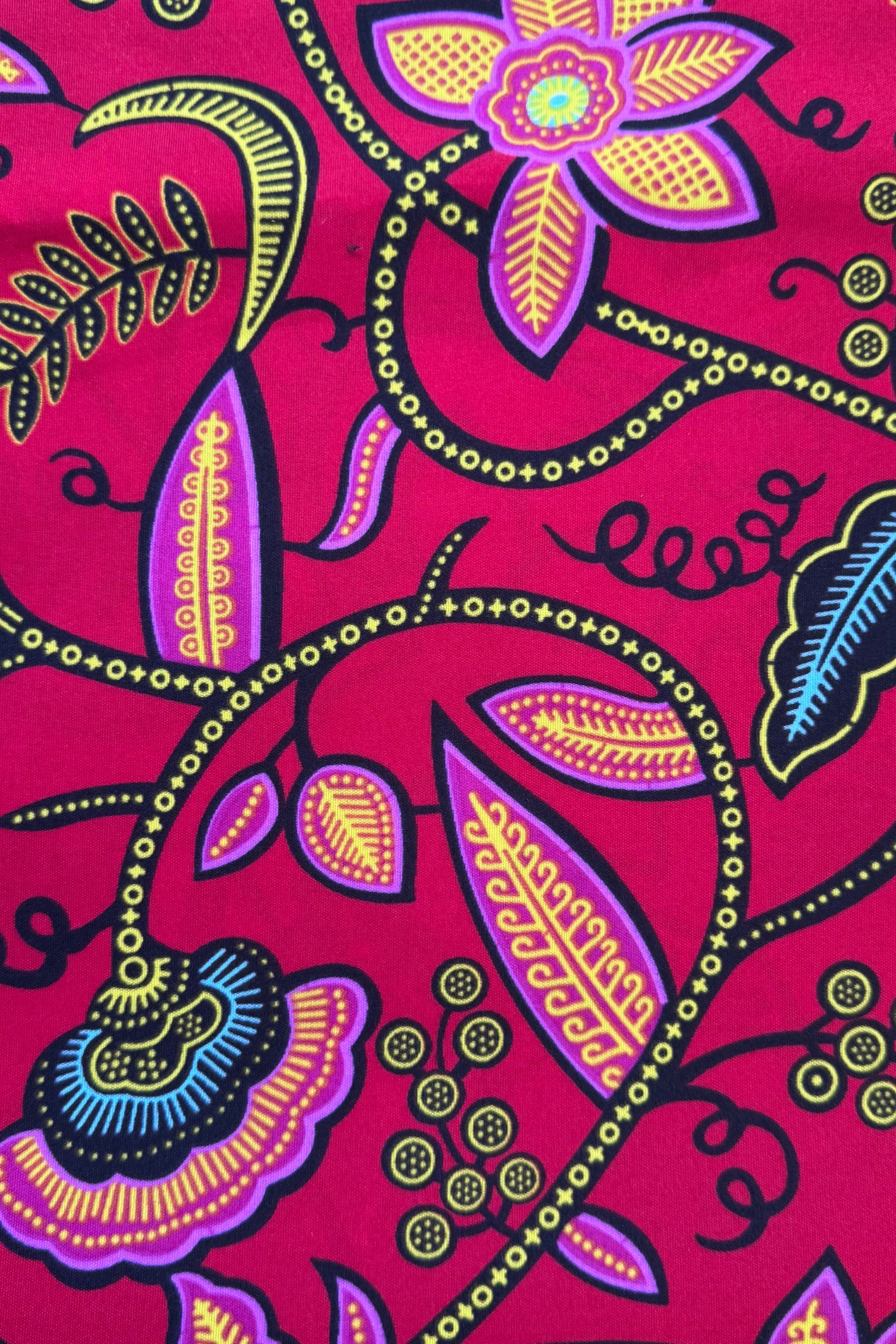 African Wax Pink Leaves on Red