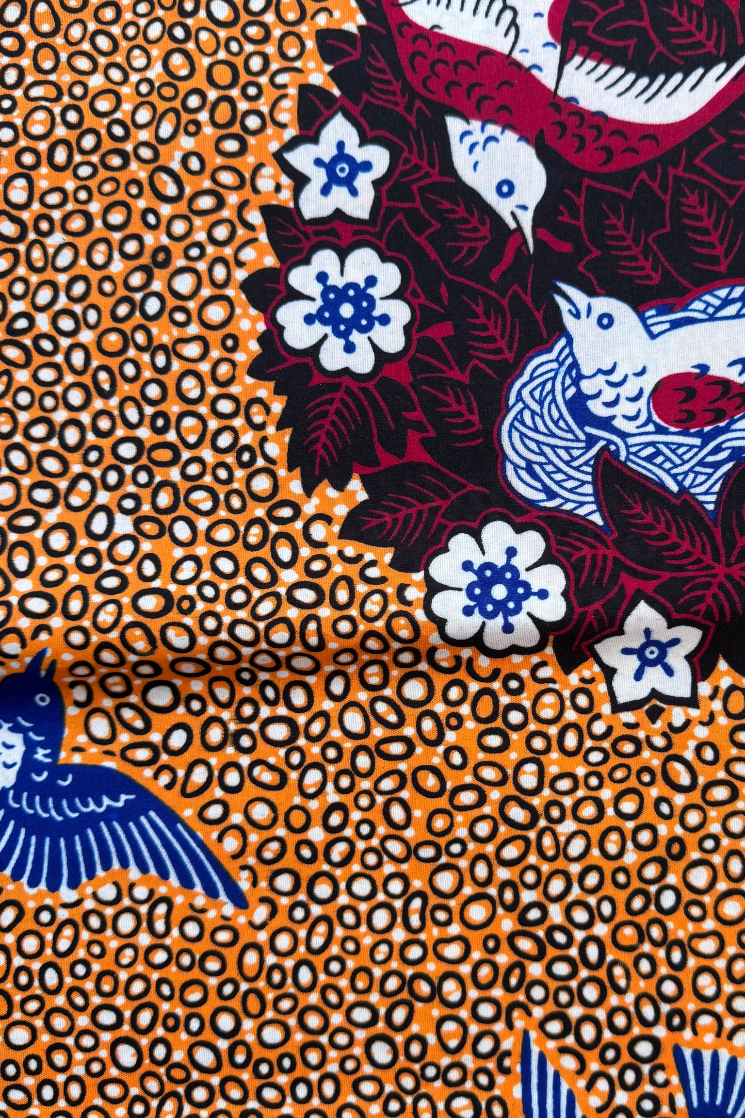 African Wax Orange Birds