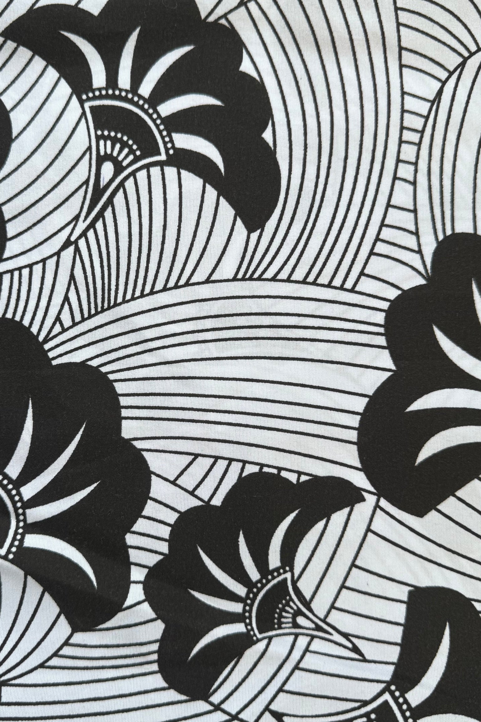 African Wax Flowers Black White