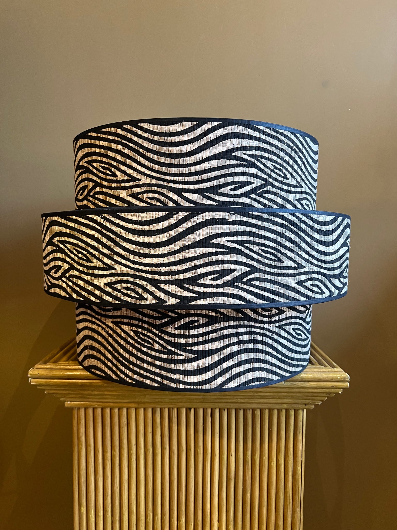 Coco Zebra | Trio Shade