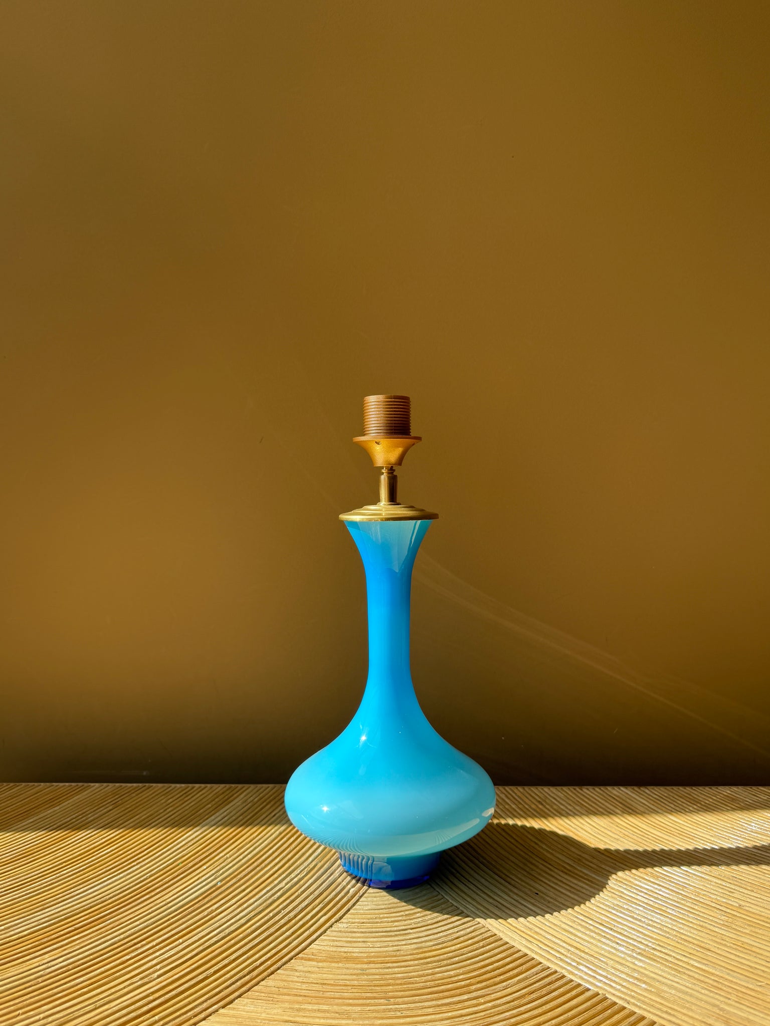 Vintage Turquoise Hips_B